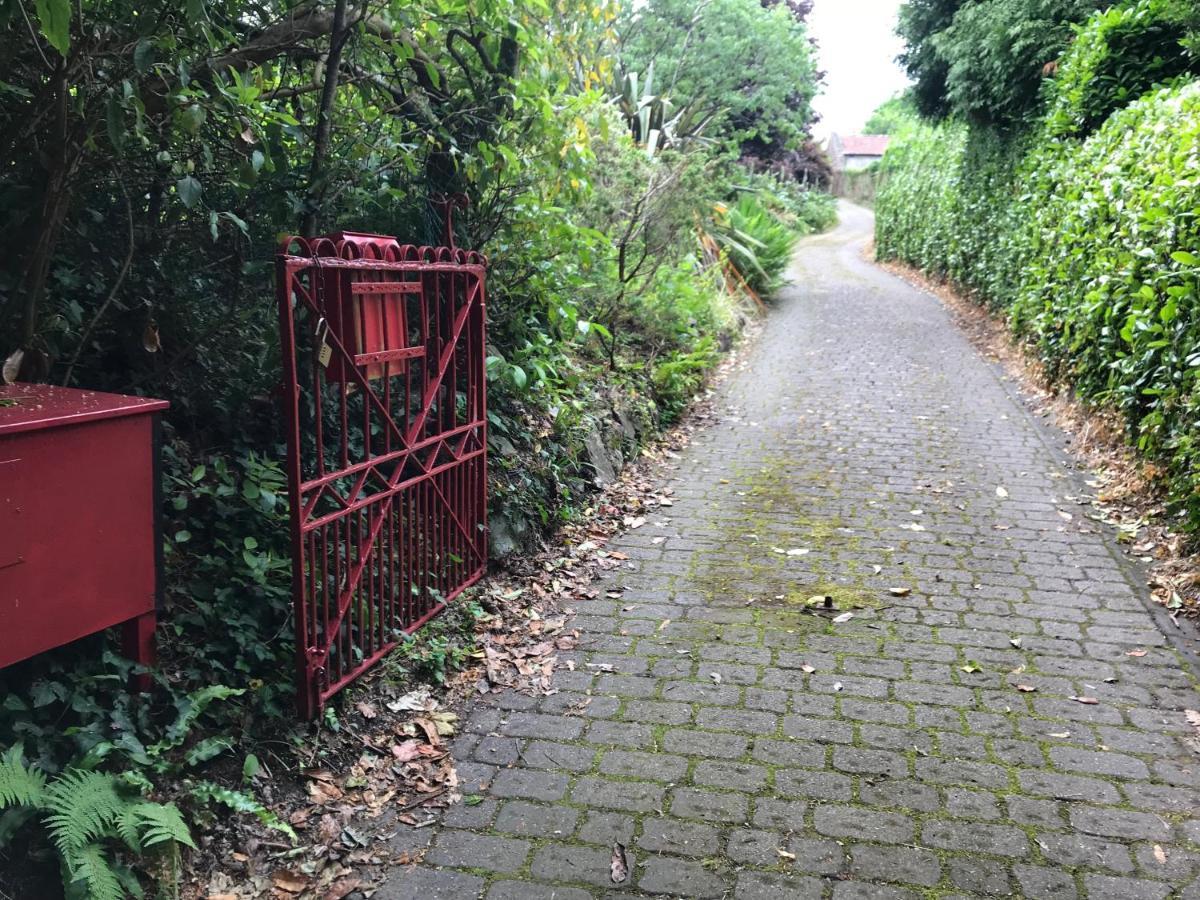 Hartree Guest House นิวตันแอบบ็อต ภายนอก รูปภาพ